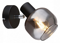 Спот Imex SP.039 SP.039-11-00 250_100_Array