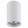 Накладной светильник Lightstar Rullo 214436 100_100_2448301