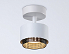 Спот Ambrella Light TN TN71279 100_100_2024445