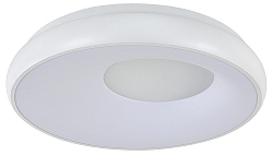 Накладной светильник Indigo Cratere 14016/1С White 250_100_Array