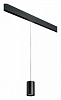 Подвесной светильник Lightstar Rullo PRORP437 100_100_2460385