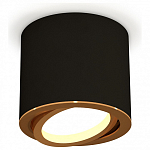 Накладной светильник Ambrella Light XS XS7402003 250_100_Array