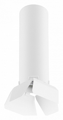 Накладной светильник Lightstar Rullo R496436 400_400_2448421
