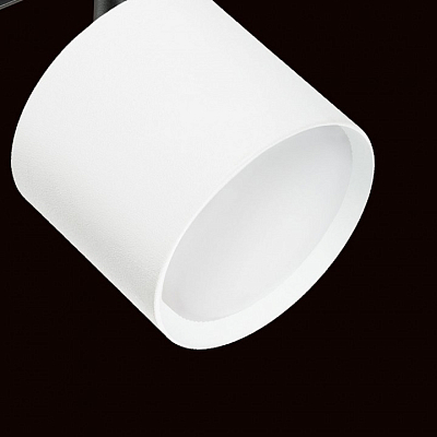 Светильник на штанге Lightstar Rullo PRO3486 400_400_1717832