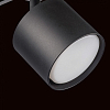 Светильник на штанге Lightstar Rullo R1T3487 100_100_1717952