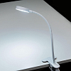 Настольная лампа офисная Citilux Ньютон CL803070N 100_100_1670265