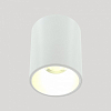 Накладной светильник LIGHTERA Shamrock LE201CL-1WA 100_100_2049189