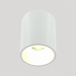 Накладной светильник LIGHTERA Shamrock LE201CL-1WA 250_100_2049189
