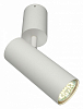 Спот Aployt Berenis APL.007.02.01 100_100_1954694
