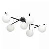 Потолочная люстра Citilux Dorsy CL223162 100_100_1694255