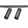 Светильник на штанге Denkirs SHINE SPOT DK5742-DN 100_100_1915120