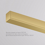 Заглушка для трека Denkirs SHINE BASE TR5735H-SB 250_100_2149952