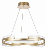 Подвесная люстра Lightstar Rotonda 736323 100_100_1719344