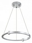 Подвесной светильник Indigo Circolato 14015/1P Silver 250_100_1970795