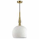 Подвесной светильник Odeon Light Runga 4765/1 250_100_1724819