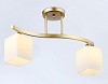 Светильник на штанге Ambrella Light TR TR303119 100_100_2734916