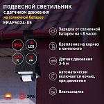 Подвесной светильник Эра  ERAFS024-05 250_100_3103573