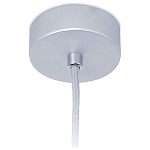 Подвесной светильник Ambrella Light TN TN251 250_100_2001773