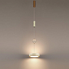 Подвесной светильник Odeon Light Riviera 5450/32L 100_100_2800289