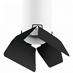 Накладной светильник Lightstar Rullo R486437 250_100_1715179