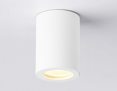 Накладной светильник Ambrella Light TN TN22797 400_400_2019144