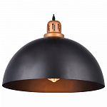 Подвесной светильник Arte Lamp Eurica A4249SP-1BK 250_100_Array