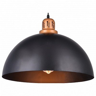 Подвесной светильник Arte Lamp Eurica A4249SP-1BK 400_400_2454739