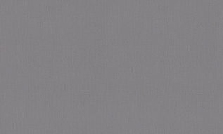 A101118 Обои ARTSIMPLE (1*6) 10,00x1,06 винил на флизелине 500_191_2323779