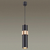 Подвесной светильник Odeon Light Afra 4738/5L 100_100_1724057