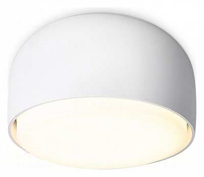 Накладной светильник Ambrella Light TN TN71001 400_400_2442409