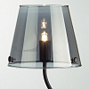Настольная лампа декоративная Lumion Smoky 6570/1T 100_100_1864366