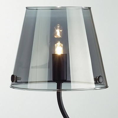 Настольная лампа декоративная Lumion Smoky 6570/1T 400_400_1864366