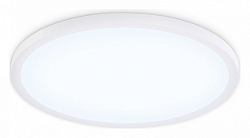Накладной светильник Ambrella Light FZ FZ1959 250_100_Array