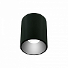 Накладной светильник LIGHTERA Shamrock LE200CL-1B 100_100_2049170