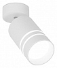 Спот Ambrella Light TN TN245 100_100_2284355