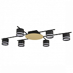 Потолочная люстра Lumion BENUA 8304/6C 250_100_Array