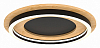 Накладной светильник Lightstar Lodi 723017 100_100_3155647