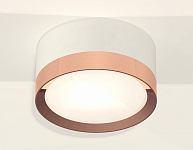 Накладной светильник Ambrella Light XS XS8101006 250_100_2012597