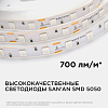 Лента светодиодная Apeyron Electrics  00-49 100_100_3091511