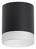 Накладной светильник Lightstar Rullo R348780 100_100_2448338