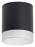 Накладной светильник Lightstar Rullo R348780 250_100_Array