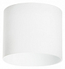 Накладной светильник Lightstar Rullo 213486 100_100_2448290