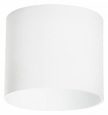 Накладной светильник Lightstar Rullo 213486 400_400_2448290