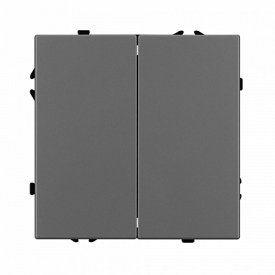 Выключатель двухклавишный без рамки Arlight SWT 054254 400_400_1602988