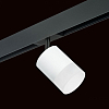 Светильник на штанге Lightstar Rullo PRO348681 100_100_1717855