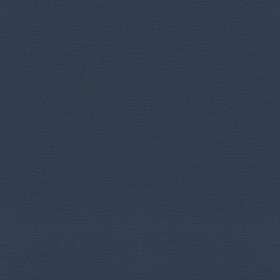 687514 Обои Rasch (1*12) 10,05x0,53 винил на флизелине 400_400_2323945