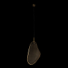 Подвесной светильник Loft it Leaf 10349/M 100_100_636998
