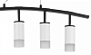 Подвесной светильник Lightstar Rullo LR7353651 100_100_1716673