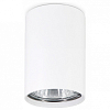 Накладной светильник Ambrella Light TN TN213101 100_100_2442279