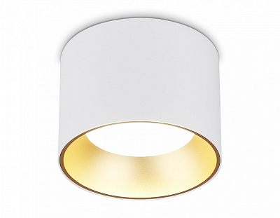 Накладной светильник Ambrella Light TN TN52882 400_400_2029685